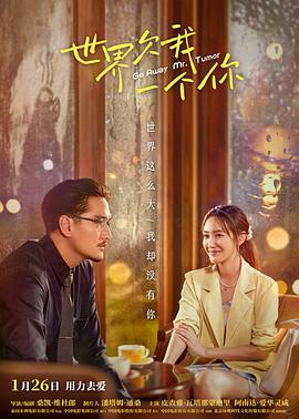 丹东seo软件怎么样